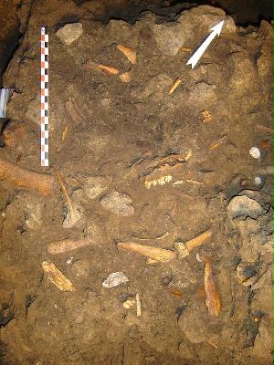 TRACES_Axe-1_DACHARY_P1-Grotte-Bourrouilla_Niveau-Magda-sup.JPG