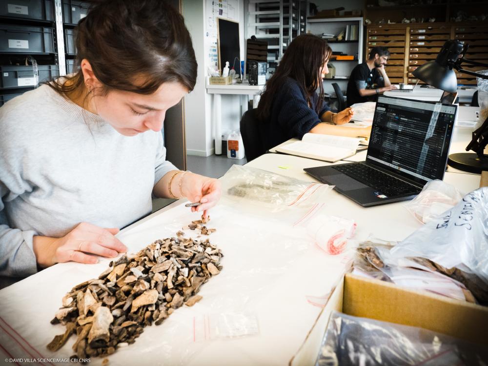 20260205_MarineGardeur