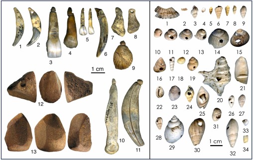 20241114_neandertal_paper2024_actu