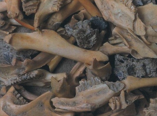 20251215_LArbez_CafeArcheo