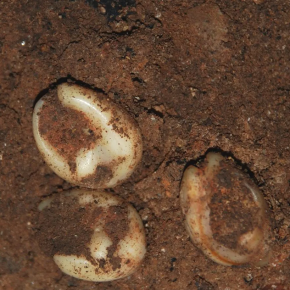 20260326_PubliCampmas