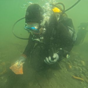 20260218_AnhLinhFrancois