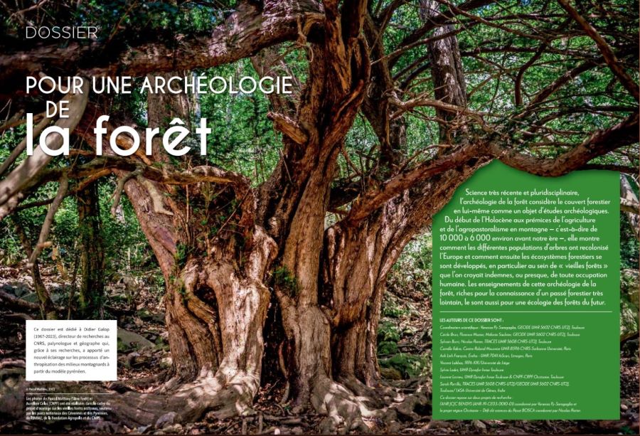 20240321_dossier_foret_Archeologie