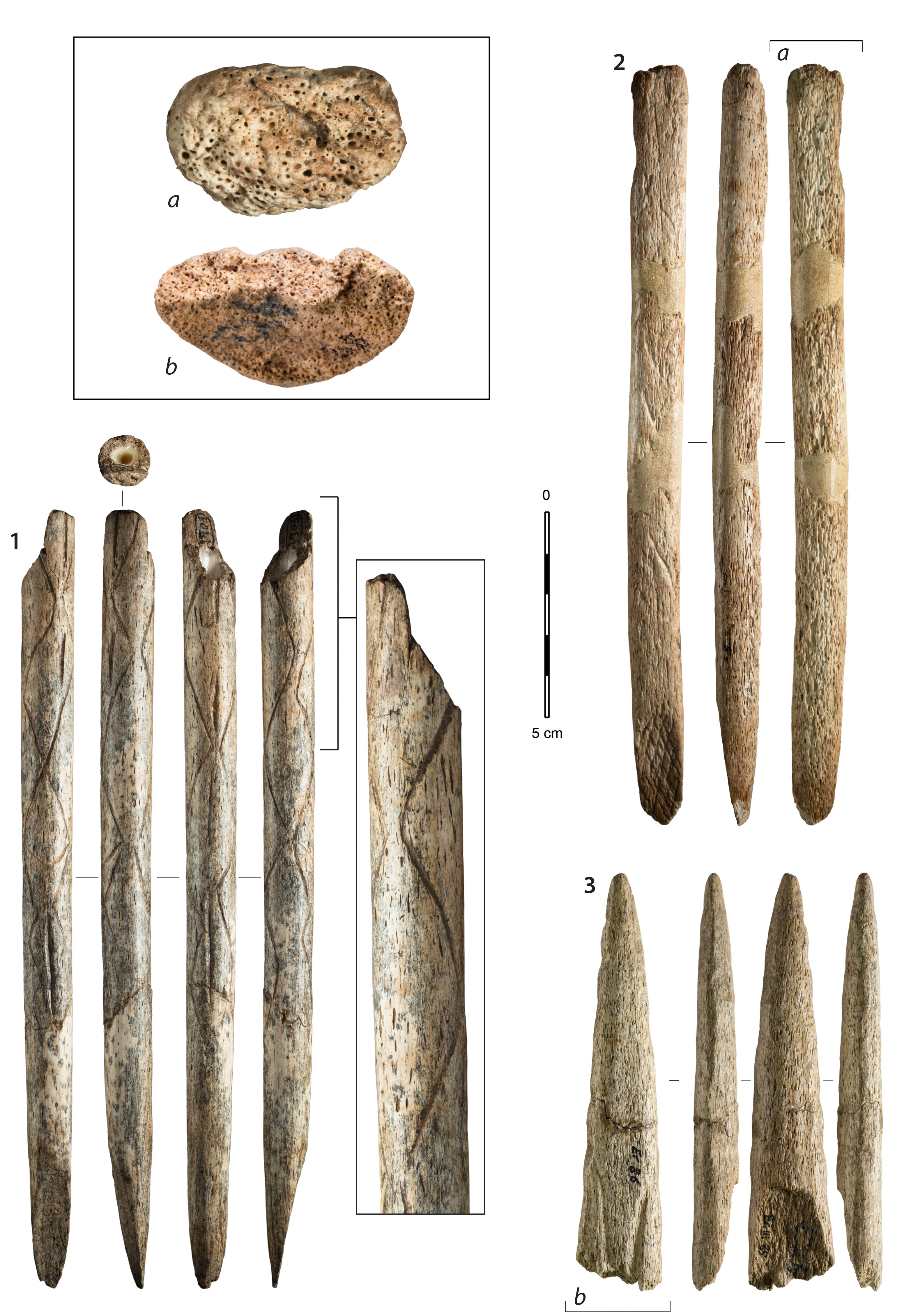 Lefebvre A. et al. 2021. Interconnected Magdalenian societies as