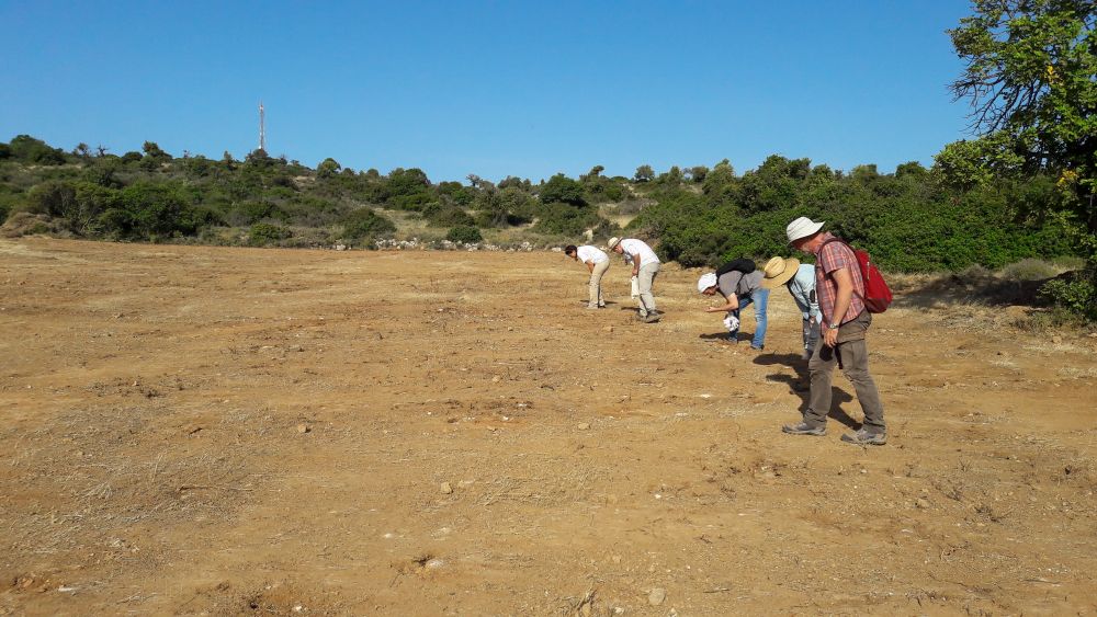 20250504_Chypre_01