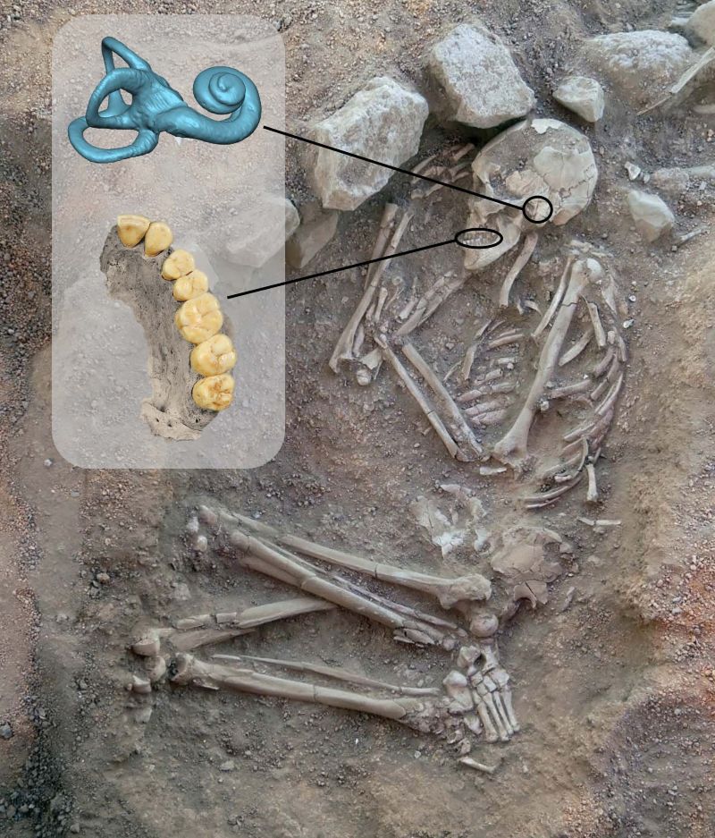 20260330_HoloceneAfrique