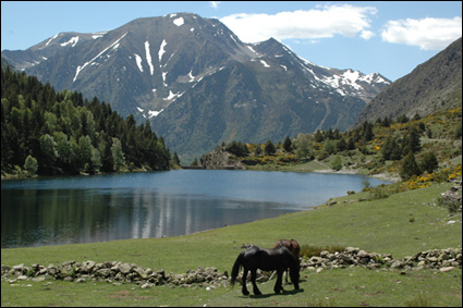 La terminaison du massif granitique du Carlit (Pyrénées-Oriental