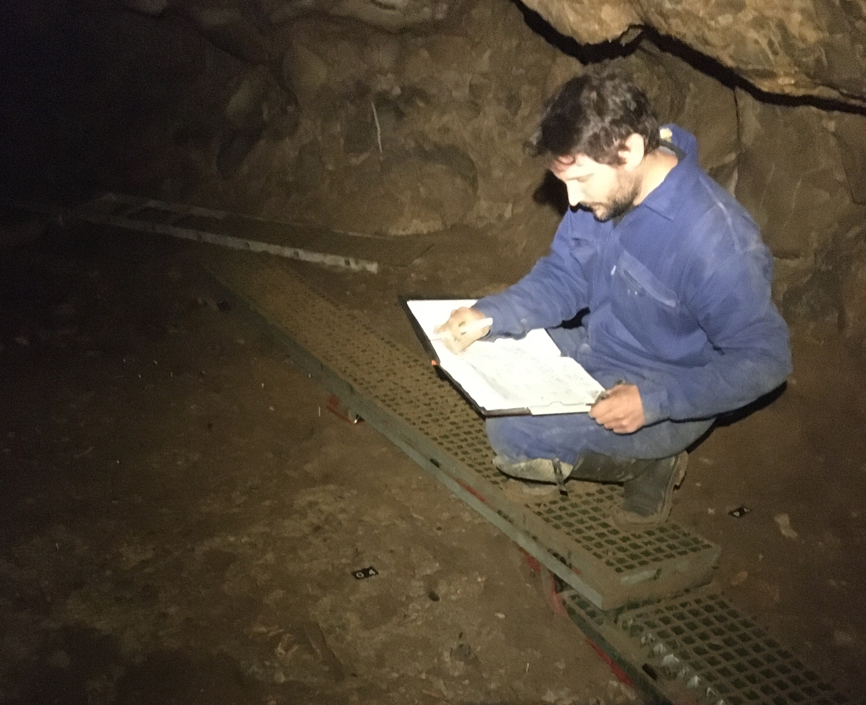 Etude in situ dans la grotte des Trois-Frères