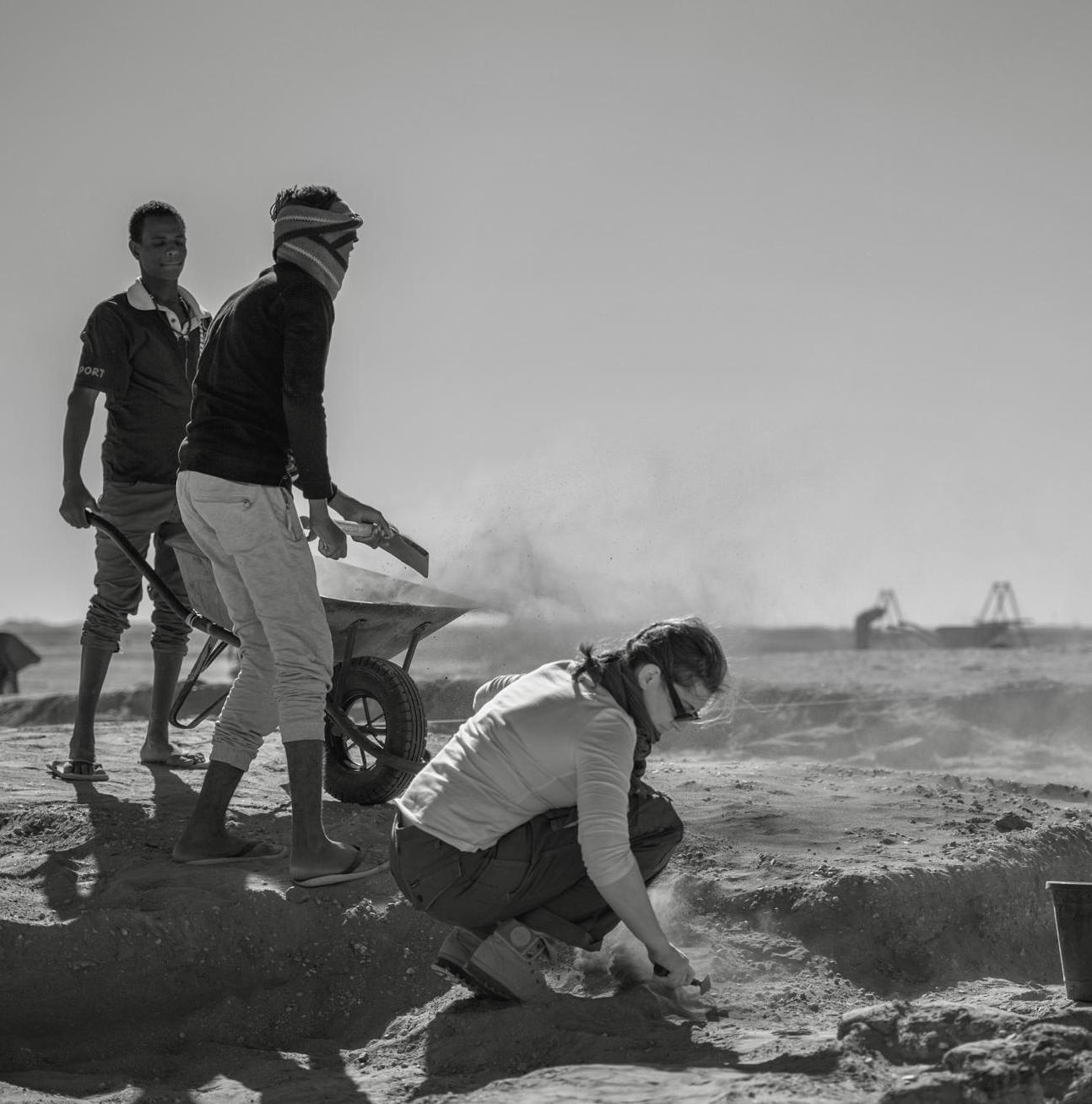 Île de Saï, Soudan.